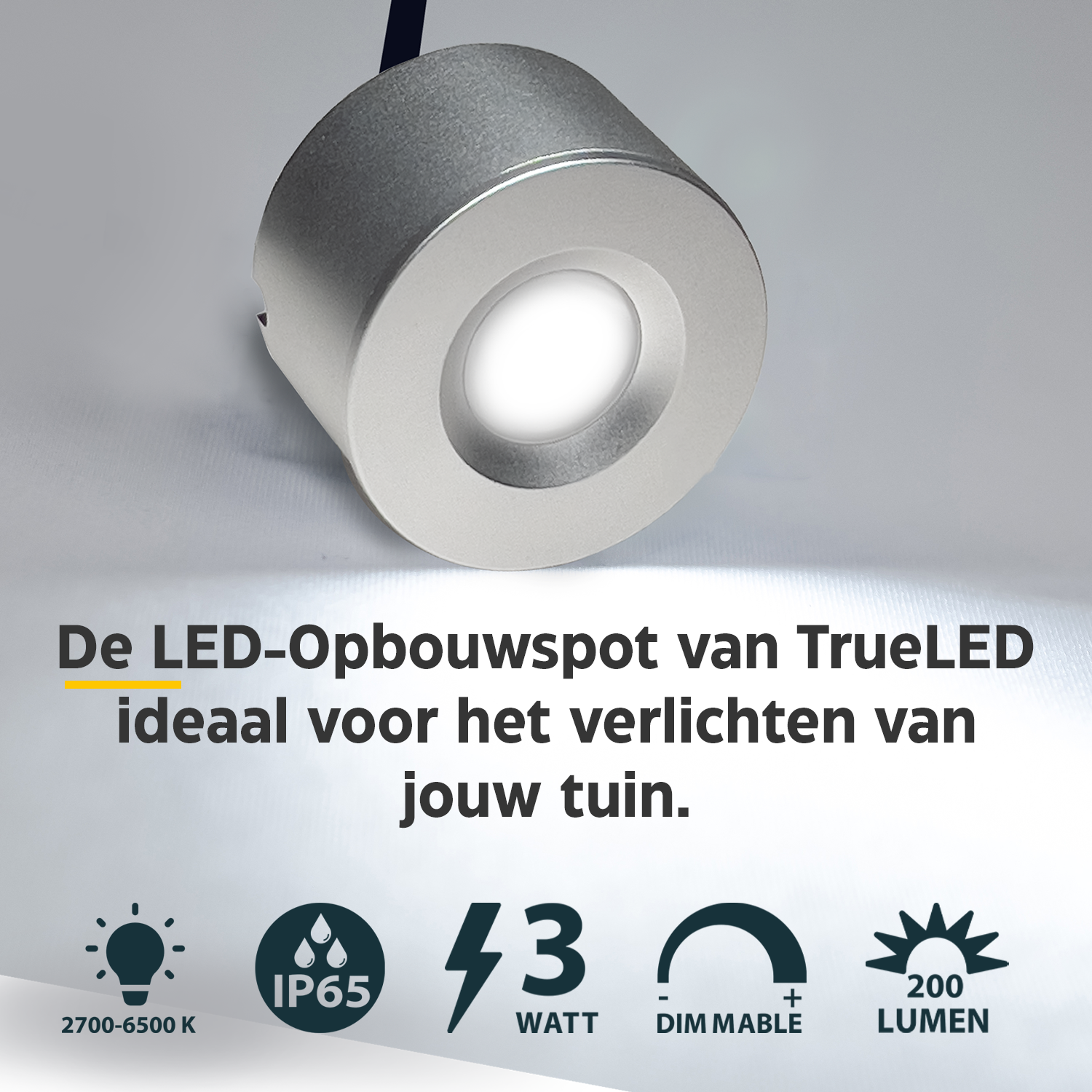 LED Opbouwspot veranda & overkapping - Warm wit 2700K - Dimbaar - Enkel - TrueLED Royal Silver