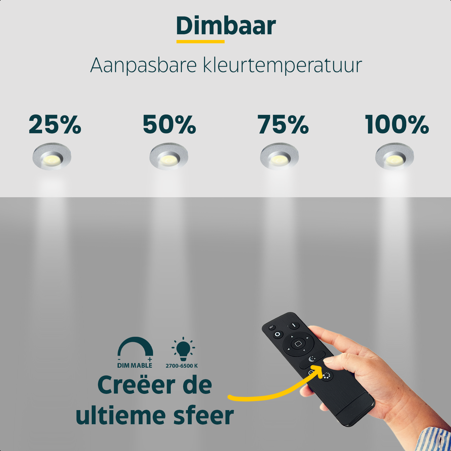 LED Opbouwspot veranda & overkapping - Warm wit 2700K - Dimbaar - Enkel - TrueLED Royal Silver