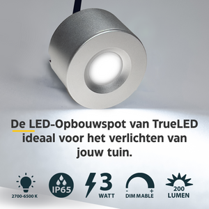 LED Opbouwspots veranda & overkapping - Warm wit 2700K - Dimbaar - Set 4 tot 12 stuks - TrueLED Royal Silver