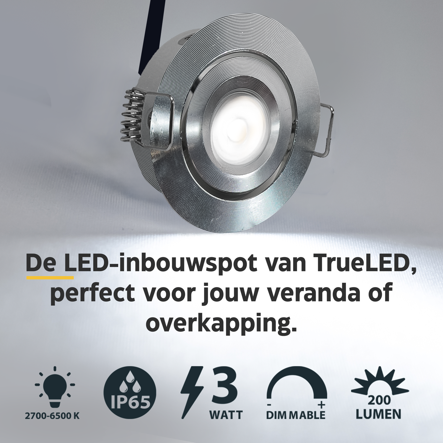 LED Inbouwspot veranda & overkapping - Kantelbaar - Warm wit 2700K - Dimbaar - Enkel - TrueLED Grand Silver