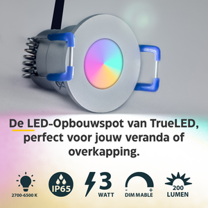 LED Inbouwspot veranda & overkapping - RGB - Dimbaar - Enkel - TrueLED Compact Silver